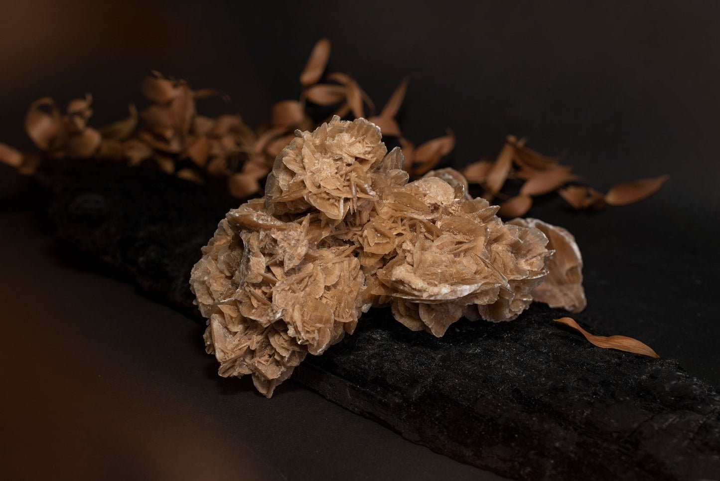 Dykumų rožė – Didelis - www.Kristalai.eu