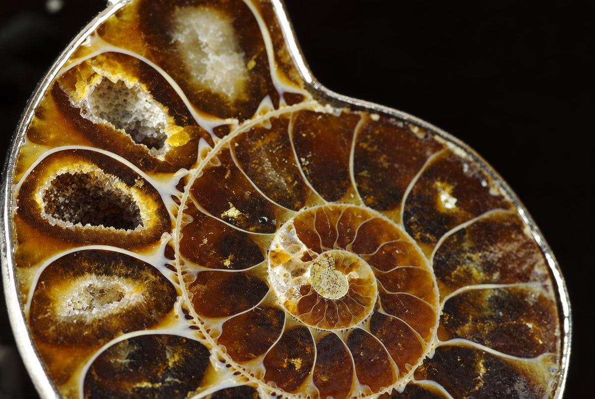 Pakabukas su amonito skerspjūviu, turinčiu spiralės formą ir rudos bei baltos spalvos kristalus.
