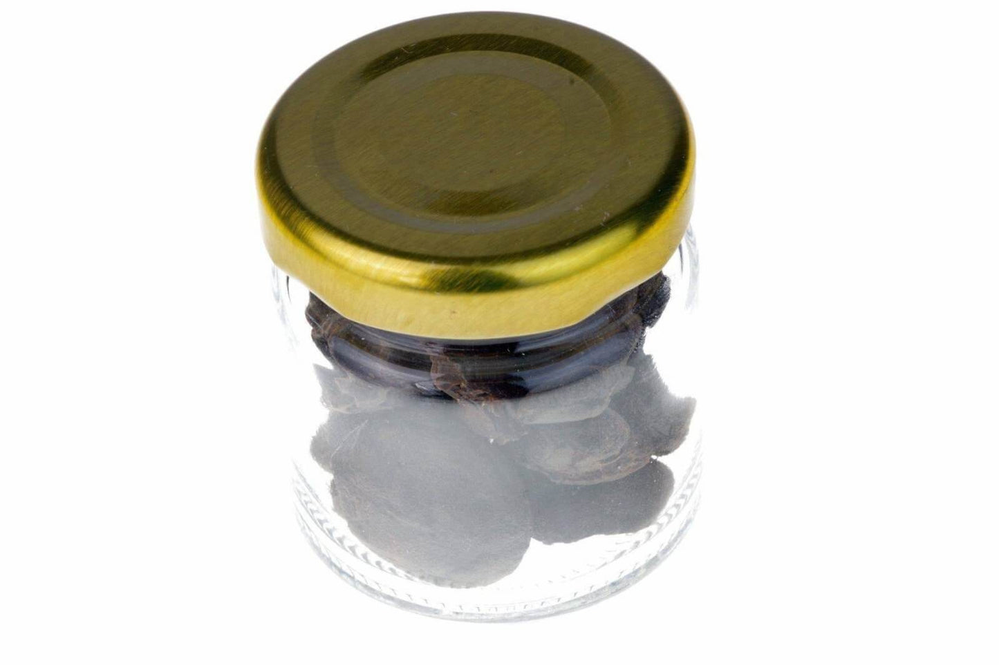 Brachiopoda – Buteliuke - www.Kristalai.eu