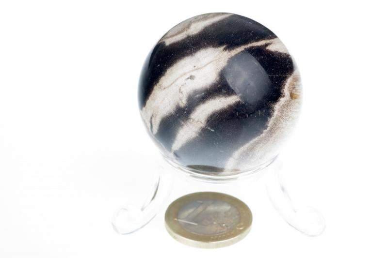 Suakmenėjęs medis sfera – 40mm - www.Kristalai.eu