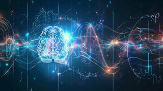 Smegenų Bangos ir Sąmonės Būsenos