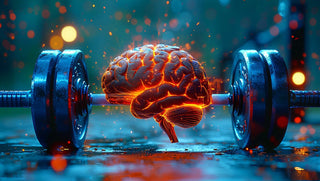 Neuronoplastika ir Viso Gyvenimo Mokymasis