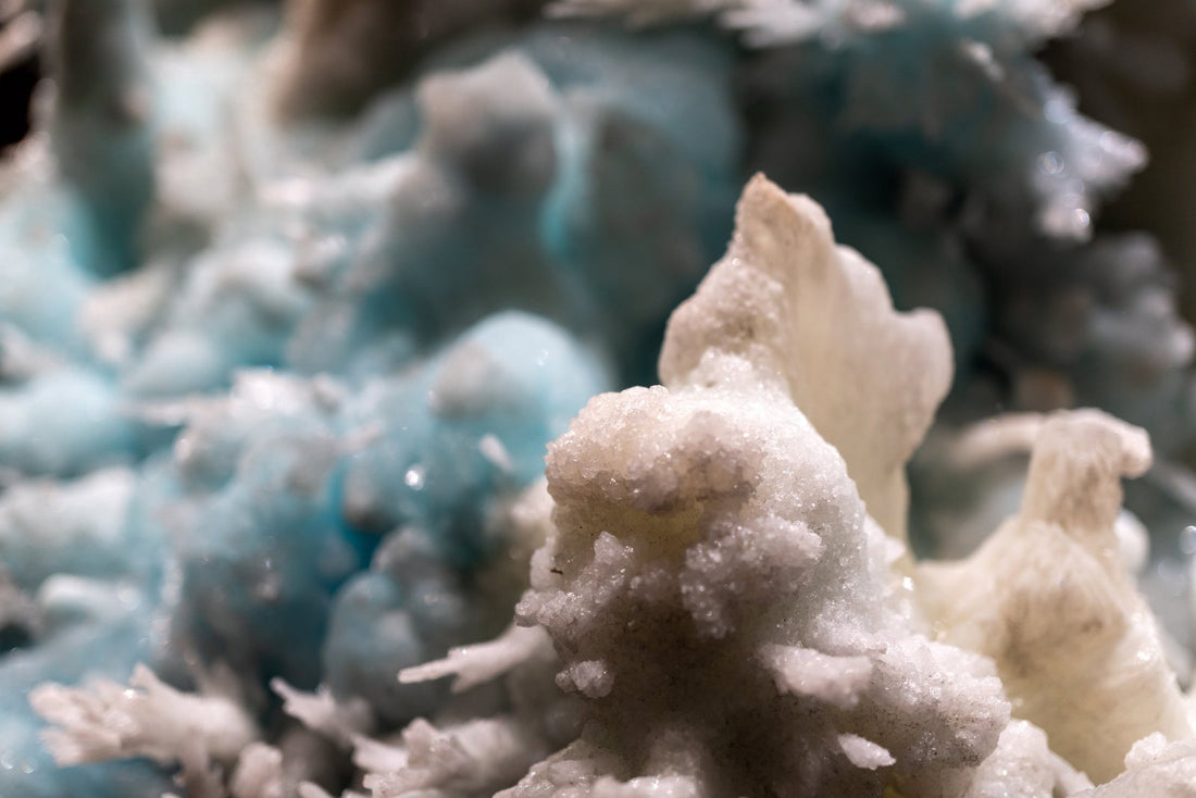 Koralas - www.Kristalai.eu