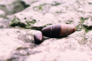 Shiva lingam