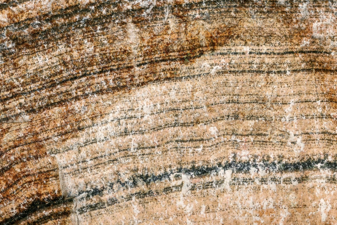 Stromatolitas - www.Kristalai.eu