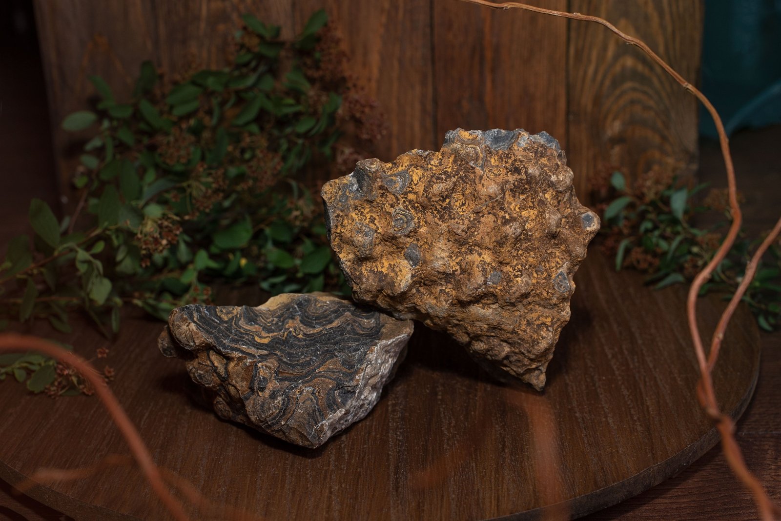 Stromatolitas didelis – 0.2 - 1 kg - www.Kristalai.eu