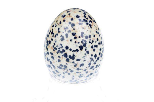 Dalmantino jaspis kiaušinis – 50mm - www.Kristalai.eu