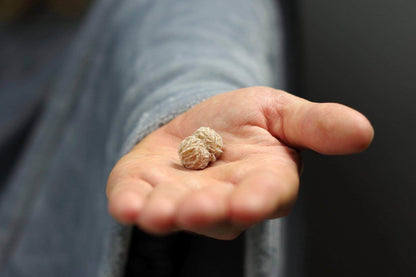 Dykumų rožė – neapdirbtas - www.Kristalai.eu