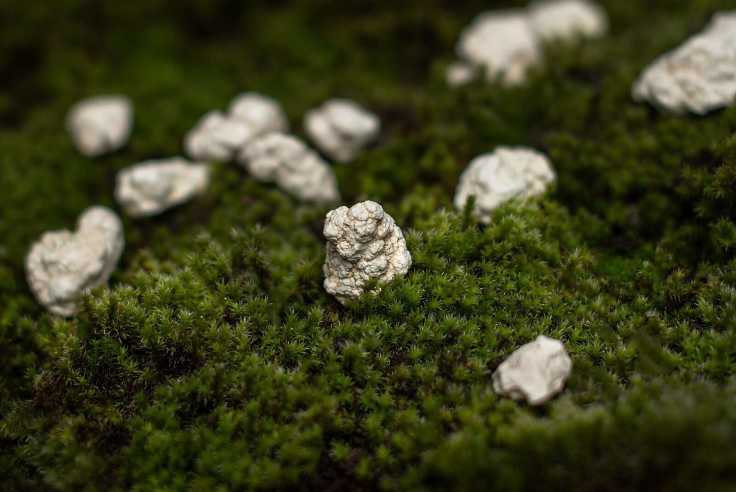 Magnezitas - www.Kristalai.eu