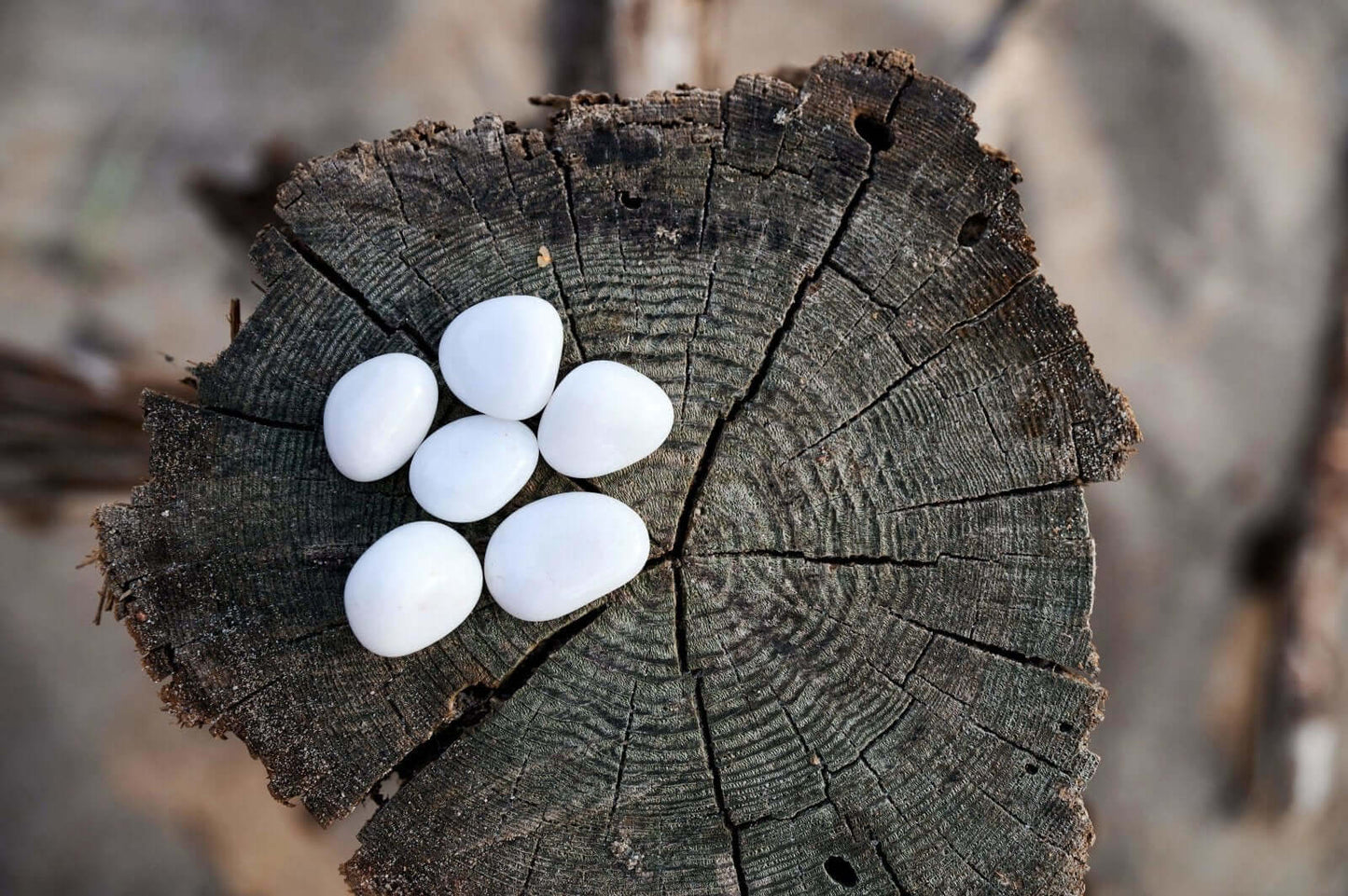 Snieginis kvarcas - www.Kristalai.eu