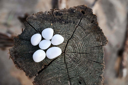 Snieginis kvarcas - www.Kristalai.eu