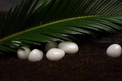 Snieginis kvarcas - www.Kristalai.eu