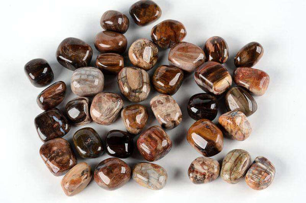 Suakmenėjęs medis - www.Kristalai.eu