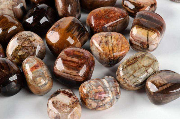 Suakmenėjęs medis - www.Kristalai.eu