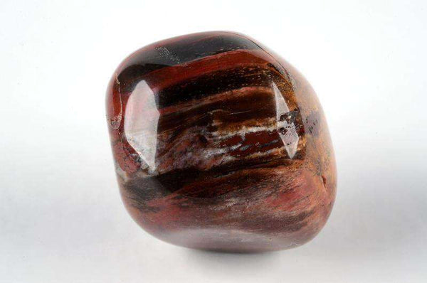 Suakmenėjęs medis - www.Kristalai.eu