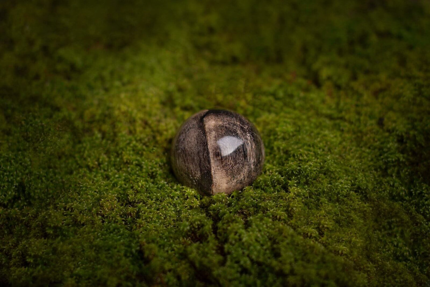 Suakmenėjęs medis sfera – 40mm - www.Kristalai.eu